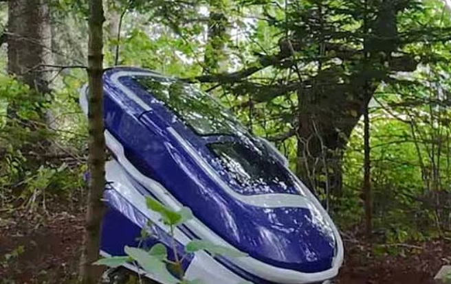 Sarco suicide pod is used for the first time as US woman, 64, uses the capsule to die in Swiss woodland – prompting police to swoop and detain staff