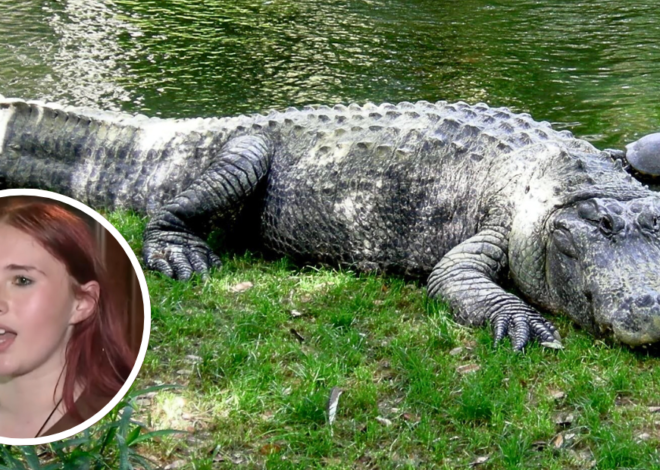 Florida Teenager Fights Off 10-Foot Alligator