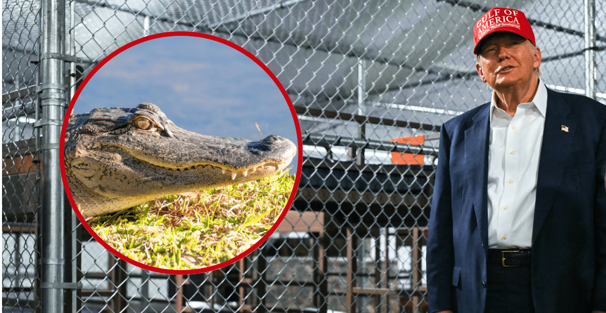 Inside ‘Alligator Alcatraz’ — Trump Tours Immigration’s Newest Prison