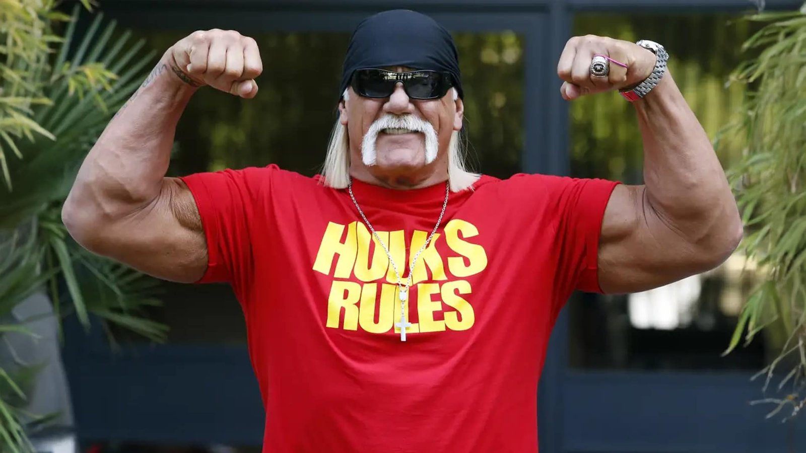Hulk Hogan, Wrestling Icon and WWE Legend, Dies at 71