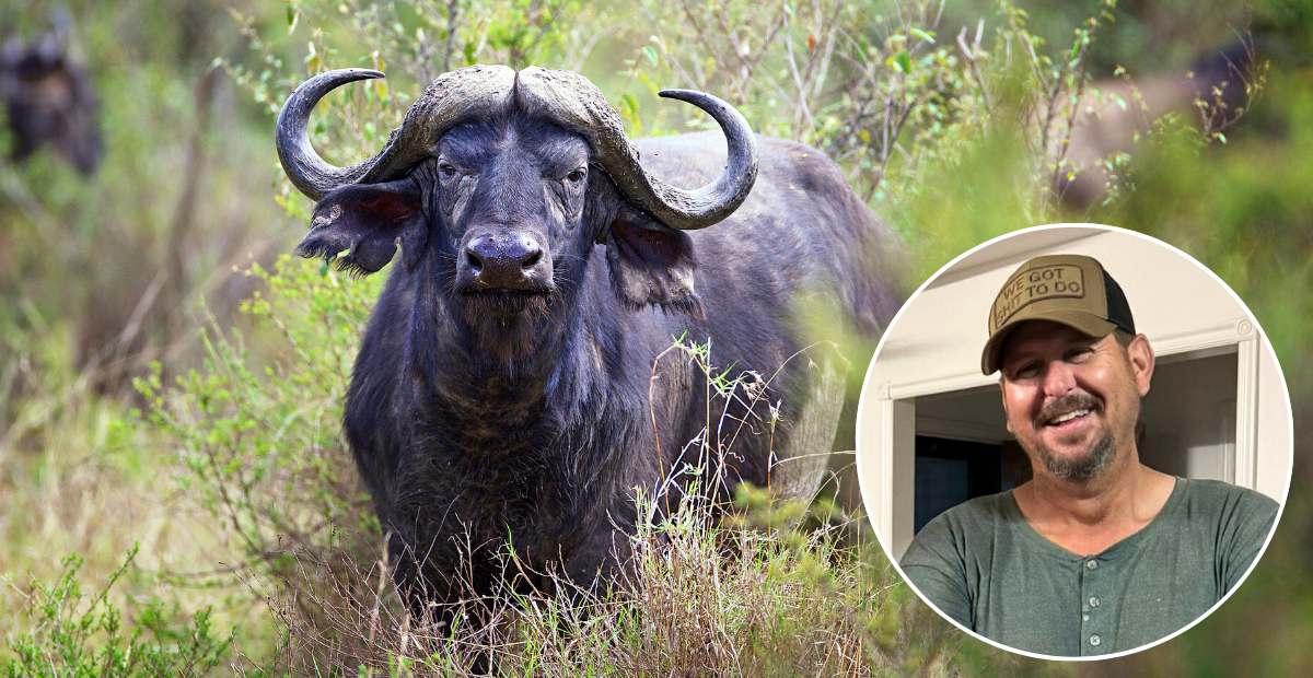 Oklahoma Farmer Fatally Attacked By Water Buffalo Purchased One Day Earlier