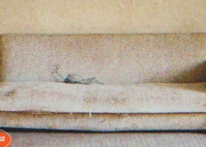Orphan Inherits Old Sofa from Her Grandpa, She Sits and It Cracks under Her Weight