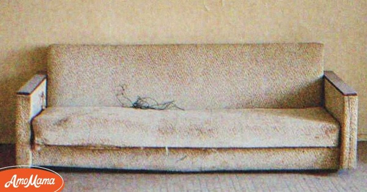 Orphan Inherits Old Sofa from Her Grandpa, She Sits and It Cracks under Her Weight