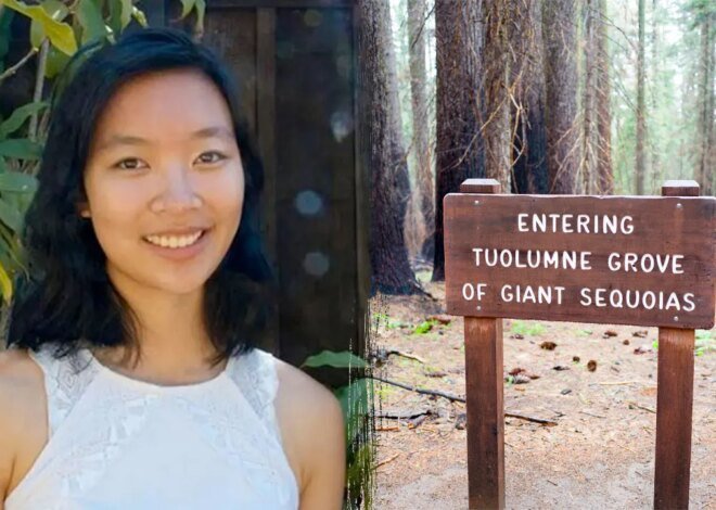 Google engineer, 29, dies on Yosemite National Park trail after falling tree branch strikes her