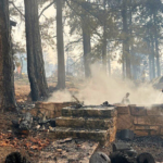 Wildfire Breaks Out On The Grand Canyon's North Rim, Destroys Historic Lodge