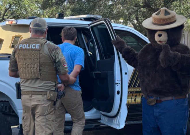 Smokey the Bear arrests man for allegedly stealing his signs in Florida to sell on Facebook: ‘Dumb criminals’