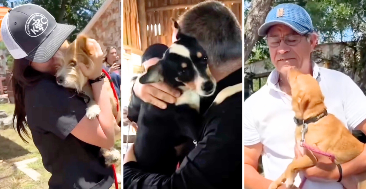 Tears Flow As Pet Owners & Their Dogs Reunite After Catastrophic Texas Floods