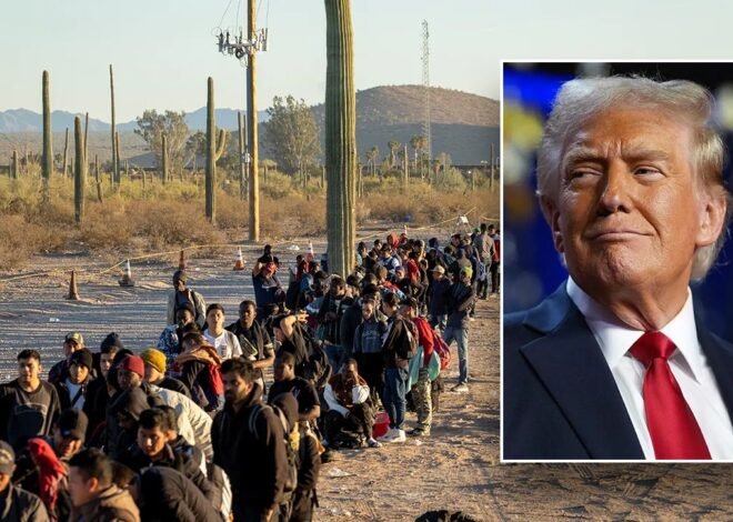 Trump’s border enforcement unleashes new weapon against illegal immigration