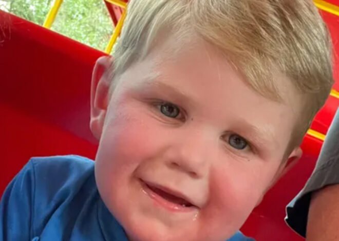 Georgia toddler stung over 150 times by yellow jackets, fighting for life