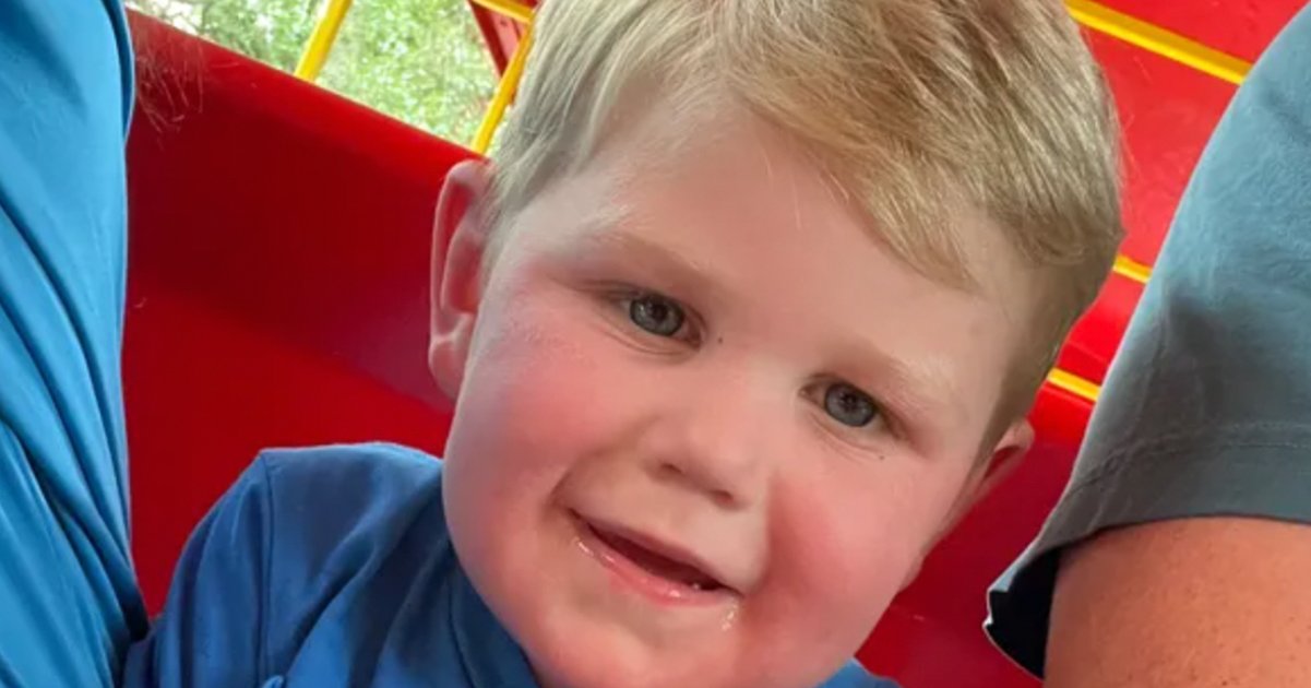 Georgia toddler stung over 150 times by yellow jackets, fighting for life