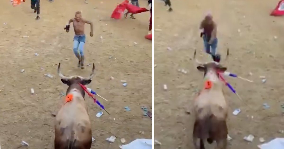 Bullfighter gored to death after taunting animal at controversial festival