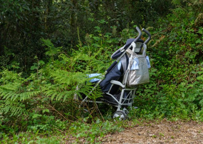 Hero dog leads biker to abandoned baby in mountains