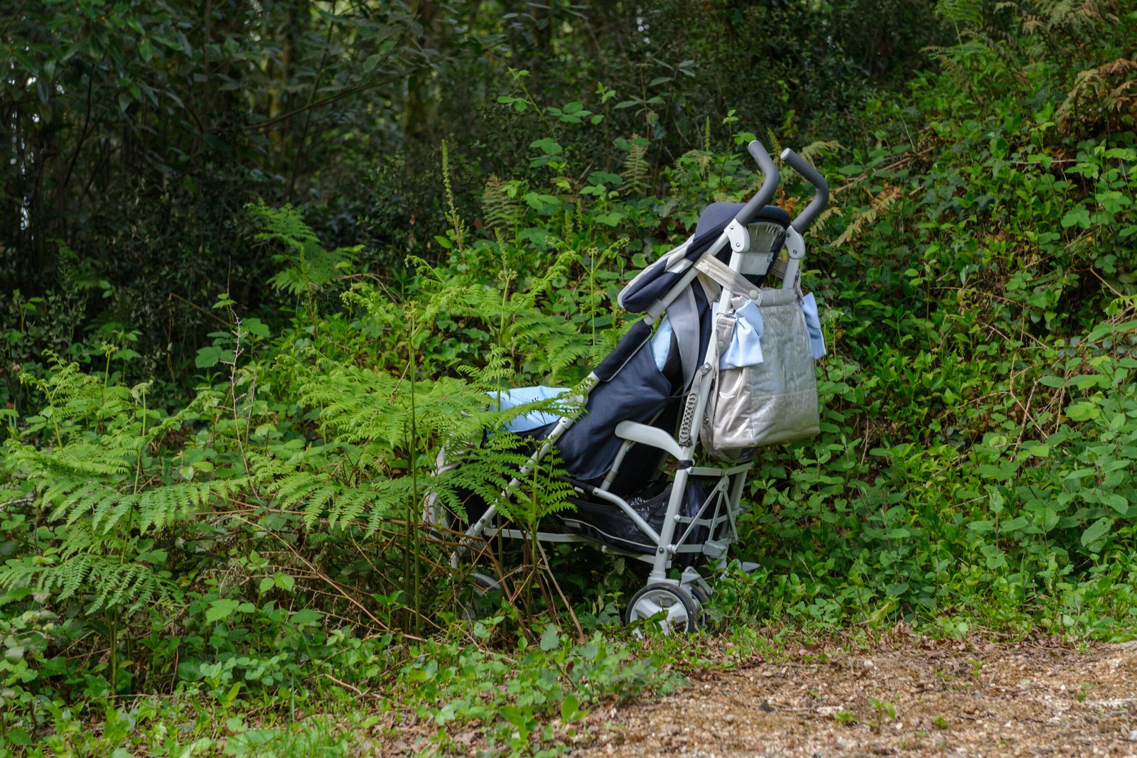 Hero dog leads biker to abandoned baby in mountains
