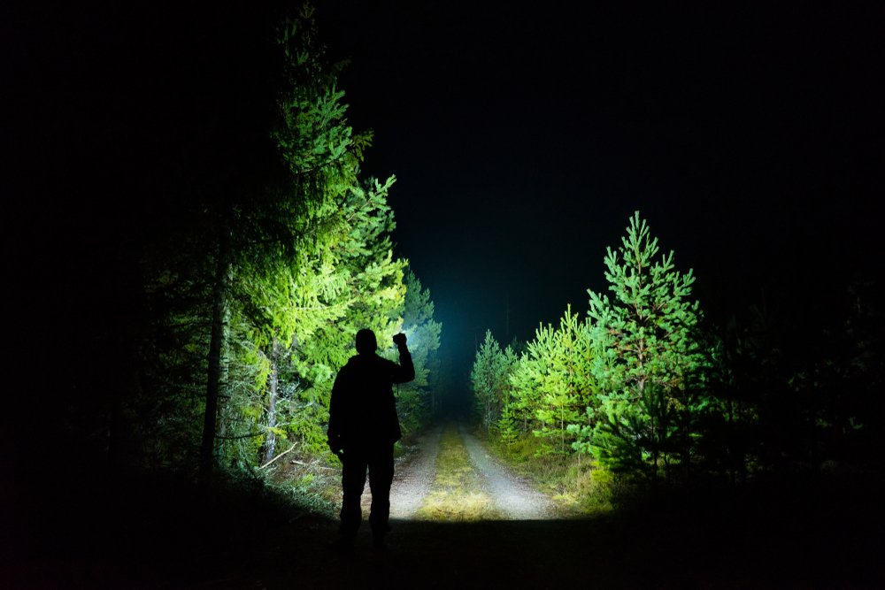 Naked man in gimp mask sparks panic in quiet village