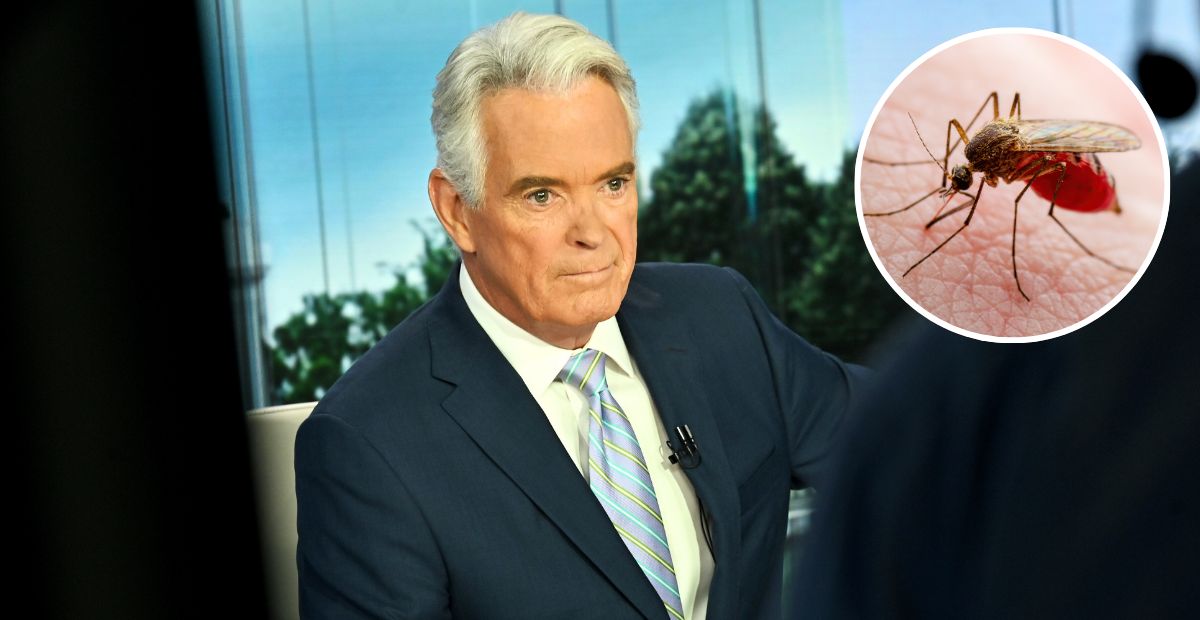 Fox News Host Hospitalized With ‘Severe’ Case Of Malaria