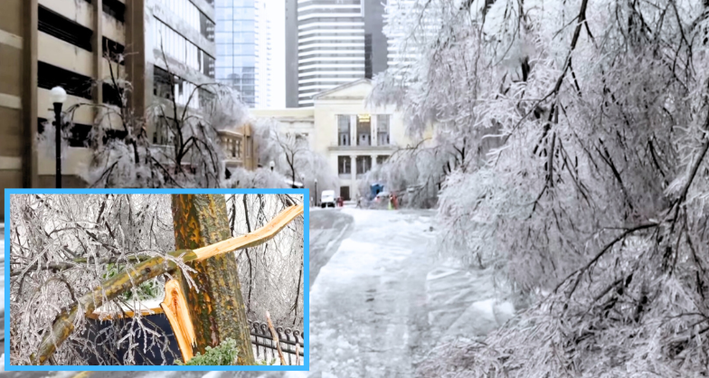 3 Confirmed Dead In Tennessee After Harsh Winter Storm, National Death Toll Continues To Rise