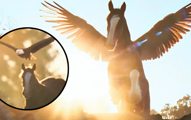 Budweiser Shares The Meaning Behind Awe-Inspiring Super Bowl Commercial For 2026