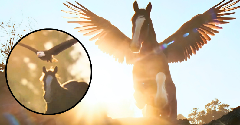 Budweiser Shares The Meaning Behind Awe-Inspiring Super Bowl Commercial For 2026