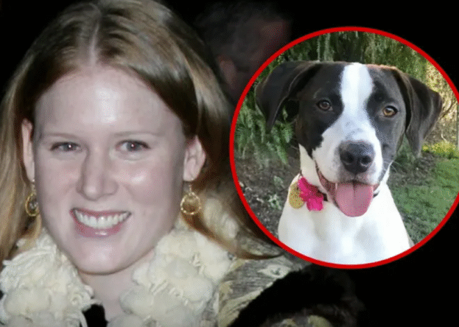 Martin Short’s Daughter Katherine Service Dog Assisted With Mental Health