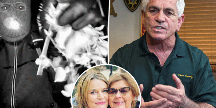 Sheriff makes another crucial error in Nancy Guthrie’s ‘complicated’ disappearance case: expert