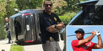 Donald Trump Addresses Tiger Woods Crash … Hints at ‘Difficulty’