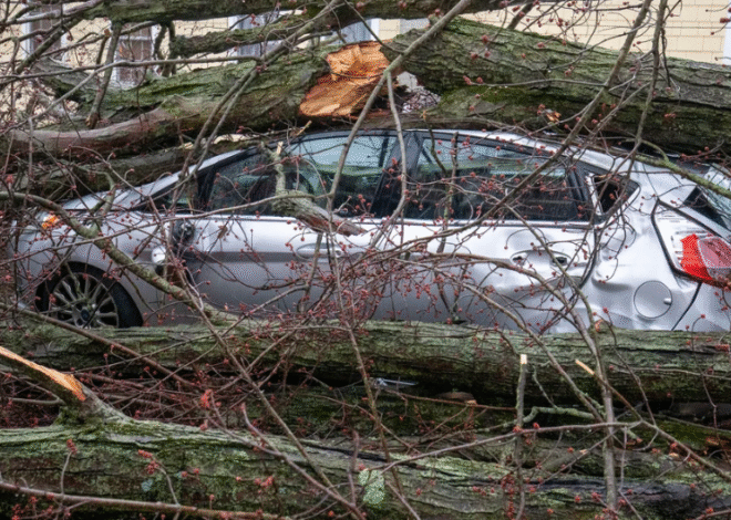 At least 4 dead, several injured after multiple reported tornadoes hit Southwest Michigan, officials say