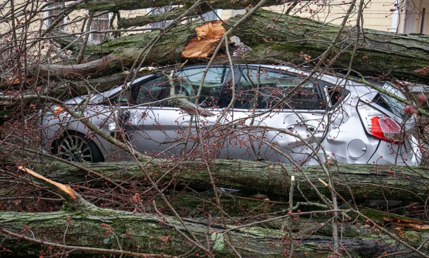 At least 4 dead, several injured after multiple reported tornadoes hit Southwest Michigan, officials say