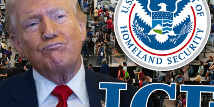 Donald Trump Get Ready Airports, Here ICE Comes!