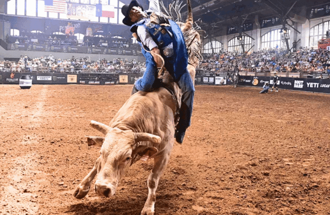 “Man Hater,” Famed PBR Bull, Dies After Injury