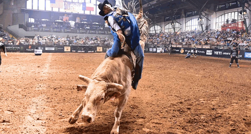 “Man Hater,” Famed PBR Bull, Dies After Injury