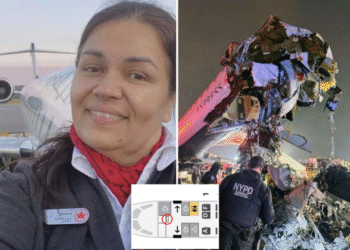 Flight attendant likely survived 300-foot ejection from LaGuardia plane crash thanks to key safety features, expert says