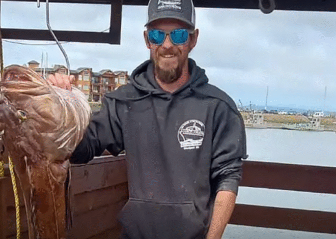 ‘Deadliest Catch’ Todd Meadows’ Mom Does Not Want His Death Aired