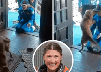 Watch Astronaut Christina Koch’s Heartwarming Reunion With Dog After Historic Moon Orbit