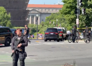 Man allegedly opens fire on Secret Service near White House as child injured in chaos