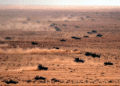 2 US service members missing in Morocco after multinational military exercise, search underway