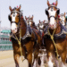 Relive The Iconic Moment When The Budweiser Clydesdales Lapped Around Churchill Downs