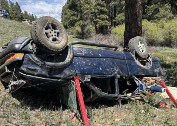 5-Year-Old Girl Found Alive 30 Hours After a Car Crash That Killed 2 Adults