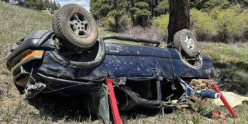5-Year-Old Girl Found Alive 30 Hours After a Car Crash That Killed 2 Adults