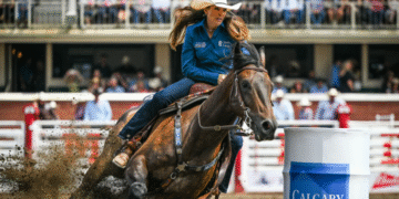 Owners Provide Update On Horses Injured In Las Vegas Barrel Racing Stabbing