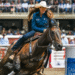 Owners Provide Update On Horses Injured In Las Vegas Barrel Racing Stabbing