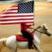 Freedom 250 Announces Rodeo 250 – Get All The Details