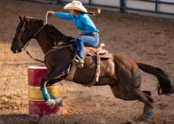 Las Vegas Police Department Identify Possible Suspect In Horse Stabbing Incident