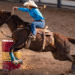 Las Vegas Police Department Identify Possible Suspect In Horse Stabbing Incident