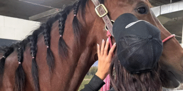 Teen Suspect In Las Vegas Horse Stabbing Appears In Court, Denies Charges