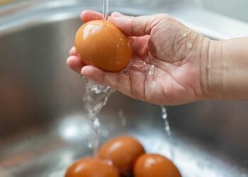 How to Wash Fresh Eggs (and When You Shouldn’t Wash Them)