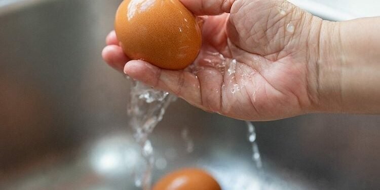 How to Wash Fresh Eggs (and When You Shouldn’t Wash Them)