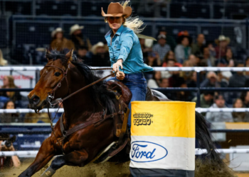 Owners Share Emotional Updates On Horses Injured In Las Vegas Barrel Racing Stabbing
