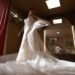 How to Choose the Perfect Wedding Dress: 10 Tips Every Bride Should Know
