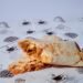 10 Easy Healthy Wrap Recipes Perfect For Lunch