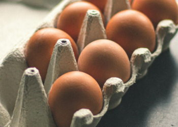 Nearly 1.6 Million Egg Cartons Recalled Over Possible Salmonella Risk